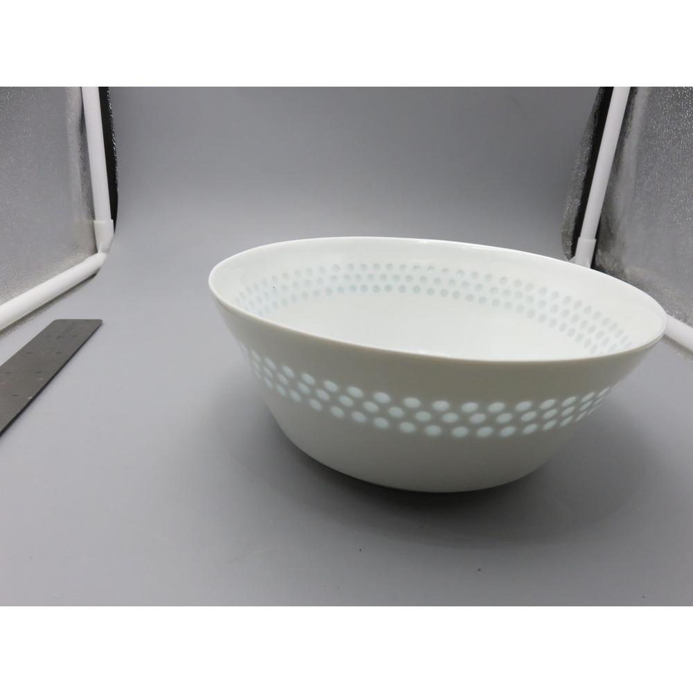 Arabia Finland Friedl Holzer-Kjellberg Rice Porcelain Bowl Translucent White 6"